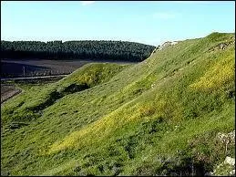 Que dois-tu faire dans les montes ?