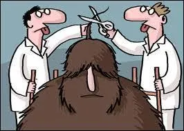 Que signifie 'caresser dans le sens du poil' ?