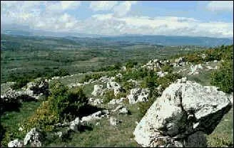 O se situe principalement le Larzac (et ses moutons) ?