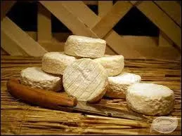 Fromage au lait de chvre; de quelle rgion nous provient le plardon ?