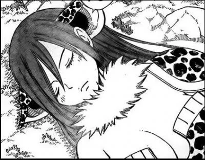 Quel est le probleme d'Erza ?