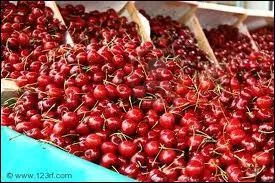 Quelle espce, la plus rpandue, trouve-t-on sur les marchs de France ds la mi-mai ?