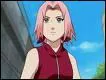Sakura aime ...