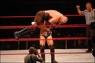 Quel est le finisher de CM Punk ?