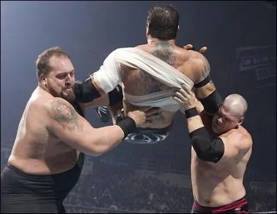 Quel est le finisher de Kane et de Big Show ?