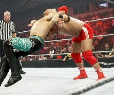 Quel est le finisher de Christian ?