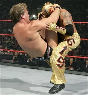 Quel est le finisher de Chris Jericho ?