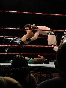 Quel est le finisher de Matt Hardy ?