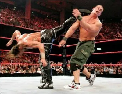 Quel est le finisher de Shawn Michaels ?
