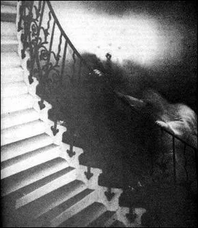 Au dpart, le photographe voulait simplement ...