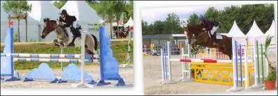 O a lieu le championnat de France de saut d'obstacles ?