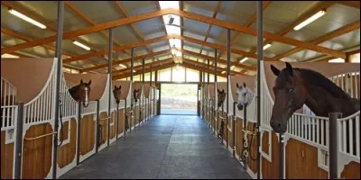 Dans quel abri le cheval vit-il ?