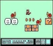 Quel est ce jeu de Mario ?