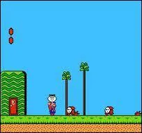 Quel est ce jeu de Mario ?