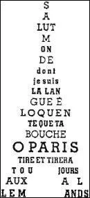 Comment s'appelle cette forme de pome de Guillaume Apollinaire ?