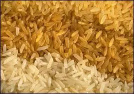 Quel est ce riz produit par modification gntique, riche en vitamine A ?