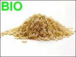 Quel est ce riz produit dans le nord de la Thalande ?