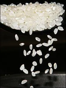 Quel est ce riz cultiv au Japon ?