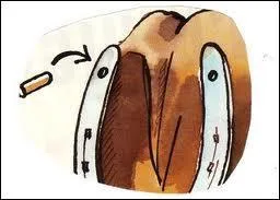 Que signifie mortaise ?