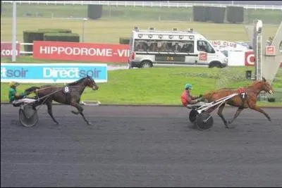 Lorsque le cheval trotte, il avance par ...