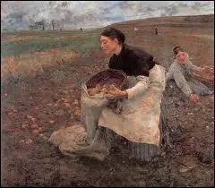 Qui a peint 'Rcolte des pommes de terre' ?