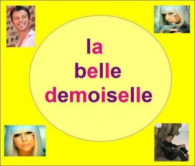 Qui chante 'La belle demoiselle' ?