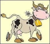 En Inde, qui porte des clochettes aux chevilles pour signaler leur arrive ?