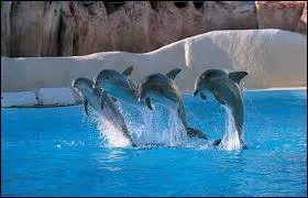 De quelle rgion de France, le dauphin est-il l'emblme ?