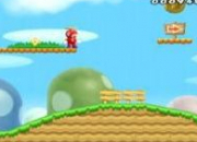 Quiz New Super Mario Bros Wii (5)