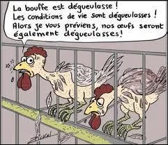 Si l'oeuf est issu d'une poule leve en plein air quel sera le code indiqu sur l'oeuf ?