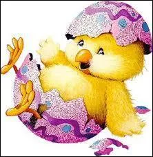 Qu'est-ce que le Balut ?