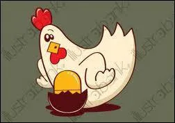 Que sont les oeufs en cocotte ?