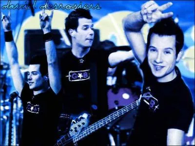 Quel est le motif animal que David adore ?