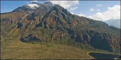 Il y a des glaciers en Ouganda.