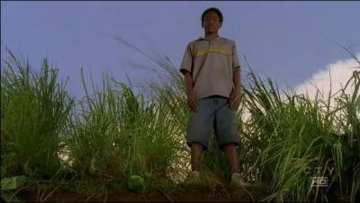 Episode 23, Exode premire partie : que regarde Walt  la tl dans les flashbacks ?