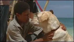 Episode 2, Le rveil partie 2 : que trouve Walt dans la fort lorsqu'il cherche son chien ?