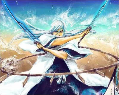 Le 2e est celui du capitaine Ukitake... ?