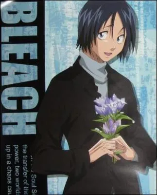 Qui est le propritaire de Hisagomaru ?