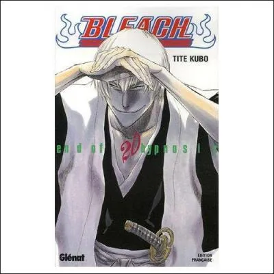 Lors de sa trahison, Gin a voulu tuer Rukia mais a chou. Qu'est-ce qui lui en a empch ?