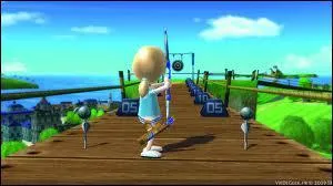 De quel jeu provient cette image ?