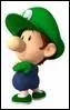 Combien de fantmes des dveloppeurs faut-il dbloquer pour avoir Baby Luigi ?
