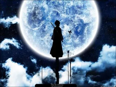 En quelle matire Rukia excellait-elle  l'acadmie des Shinigamis ?