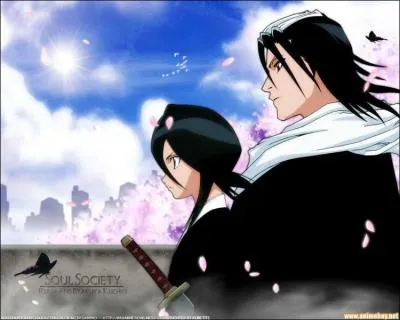 Qui est Byakuya pour Rukia (liens de sang) ?