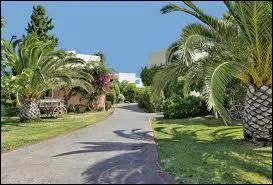 Ile du Dodcanse o est n Hippocrate :