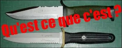 Qu'est-ce que c'est ?