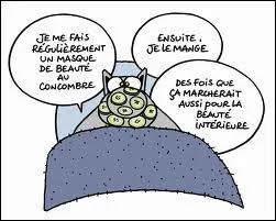 Qu'espre Le chat sous son masque au concombre ?