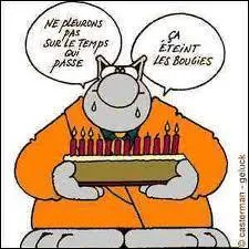 Qu'attrape Le chat  la vue des nombreuses bougies de son anniversaire ?