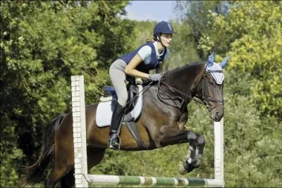 Avec quoi dirige-t-on le cheval ?