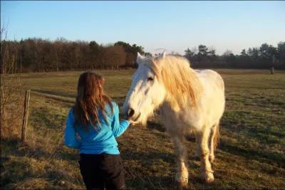 Cette cavalire fait quoi ?