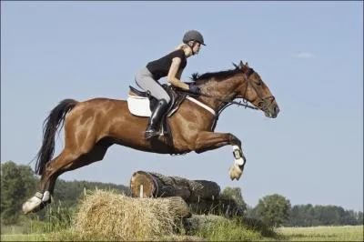 Cette cavalire fait ?